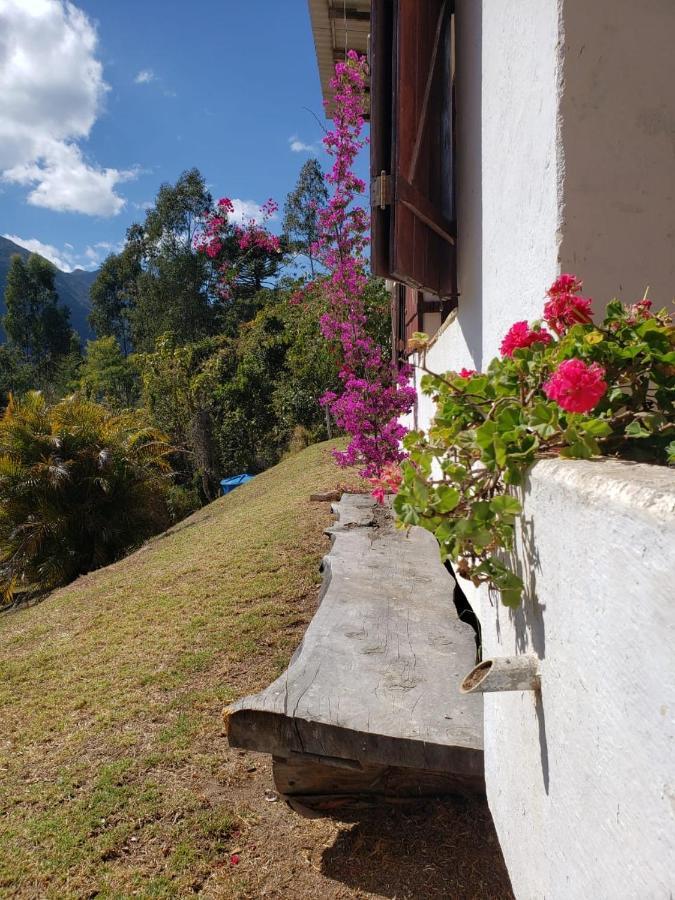 Hostel Picus Itamonte Bagian luar foto